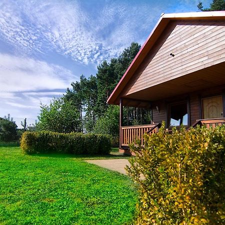 Zacisze Pod Laskiem Karwieńskie Błoto Exterior foto